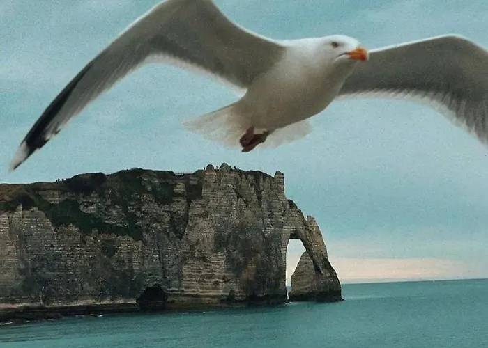 Charmante Maison De Pecheur Feriehus